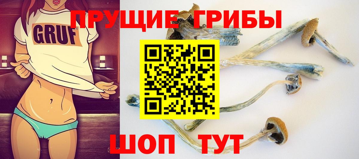 Псилоцибиновые грибы прущие грибы Кстово