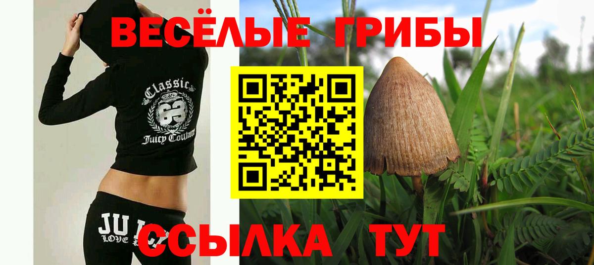 Кстово  Псилоцибиновые грибы ЛСД  как найти закладки  Вход с VPN 